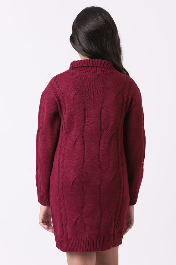 Wine Self Design Straight Dress, Wine, image 5